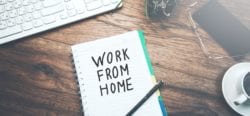 work from home guide